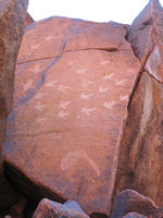 Petroglyphs wherever you look